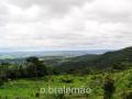 Estrada Real