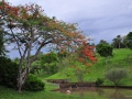 parque ecoligico, Campinas