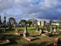cemitério, Friburgo, Campinas