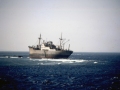 MS Proud Eagle - Schiffswracks im Golf von Aqaba (Jordanien)